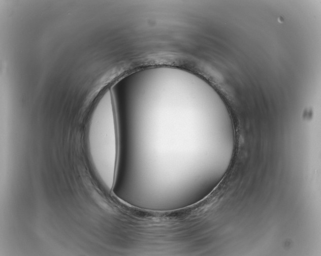 X0000091860250200709051003