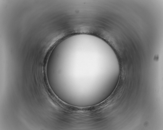 X0000091860251200709051003