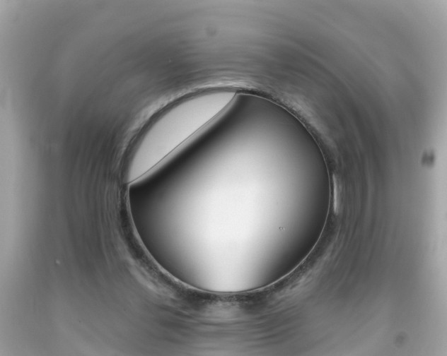 X0000091860252200709051003
