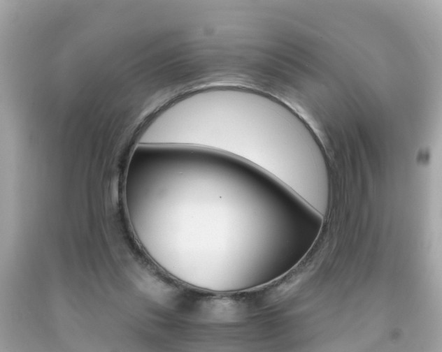 X0000091860253200709051003