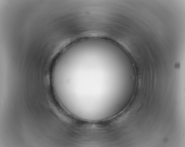 X0000091860254200709051003