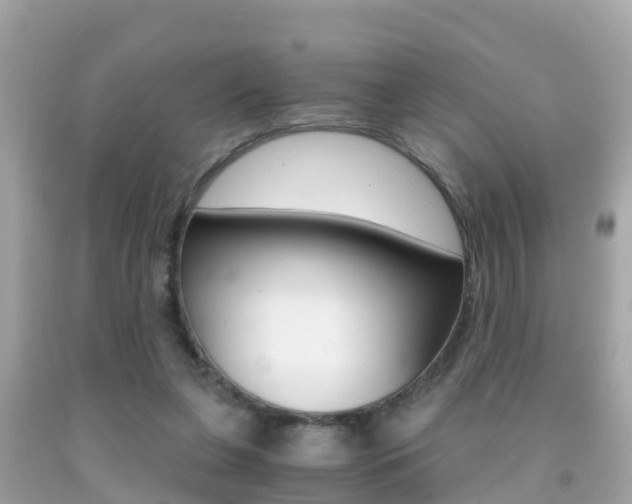 X0000091860255200709051003