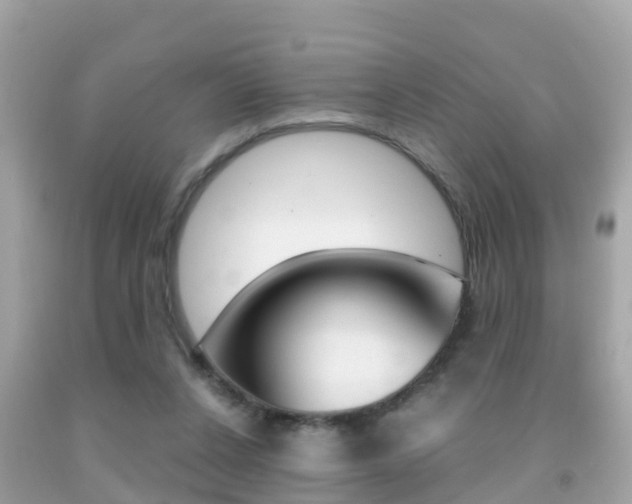 X0000091860256200709051003