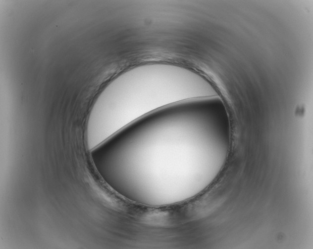 X0000091860257200709051003