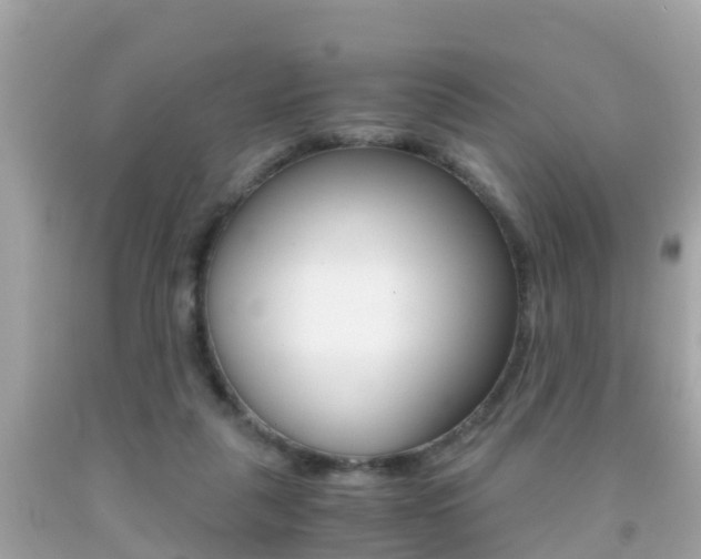 X0000091860259200709051003