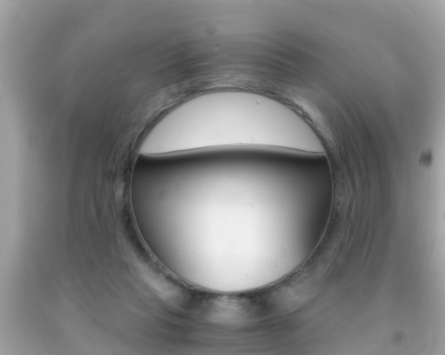 X0000091860261200709051003