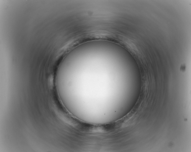 X0000091860262200709051003