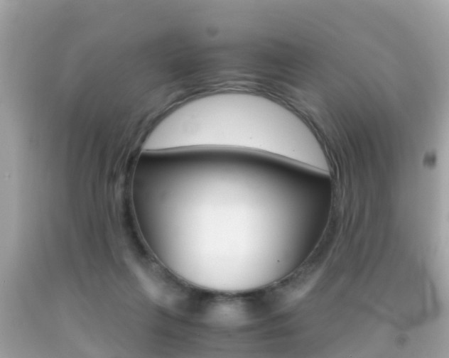 X0000091860263200709051003