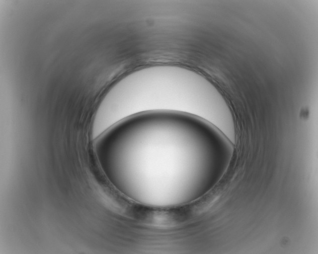 X0000091860264200709051003
