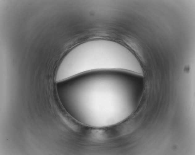 X0000091860265200709051003