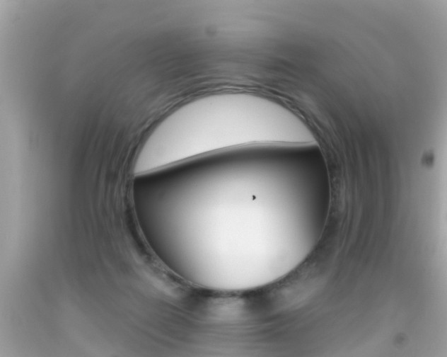 X0000091860266200709051003