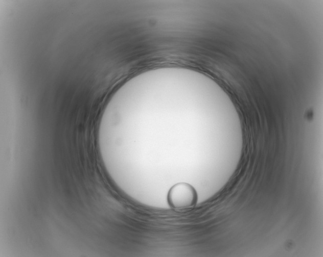 X0000091860268200709051003