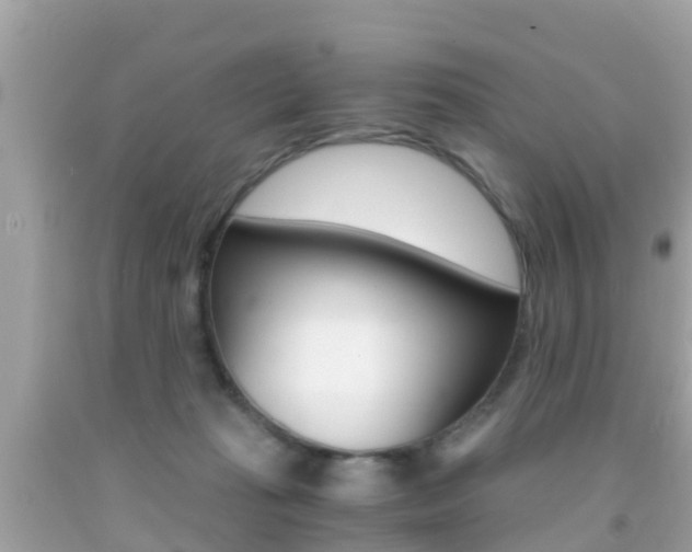 X0000091860269200709051003