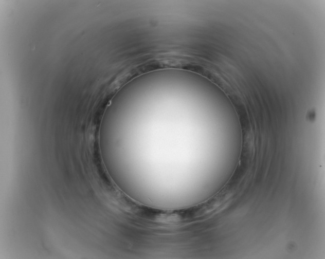 X0000091860271200709051003