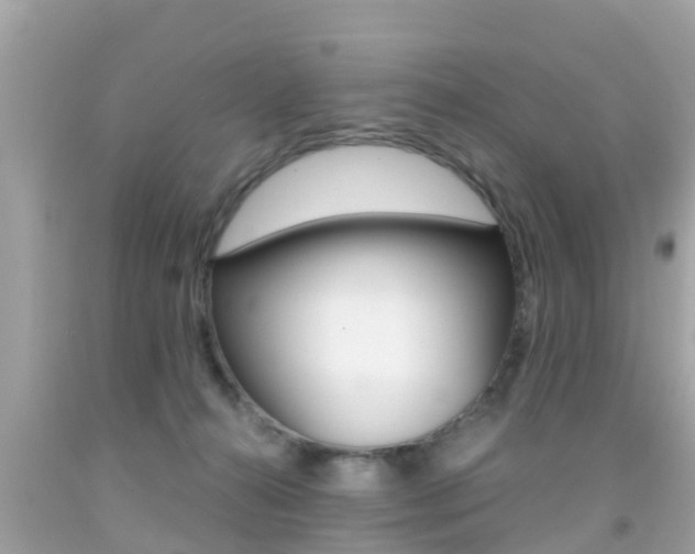 X0000091860272200709051003