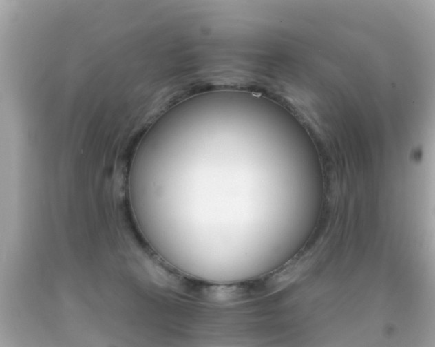 X0000091860273200709051003