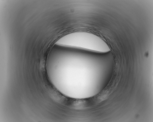 X0000091860274200709051003