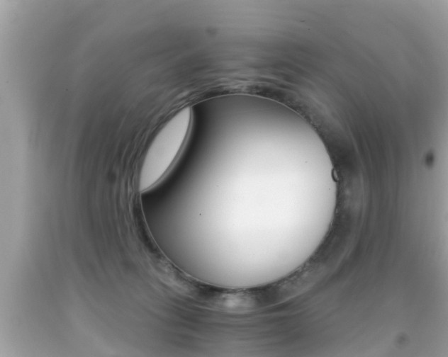 X0000091860275200709051003