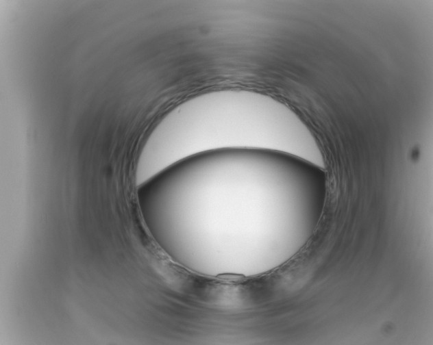 X0000091860276200709051003