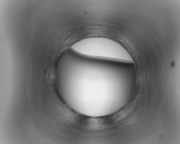 X0000091860277200709051003
