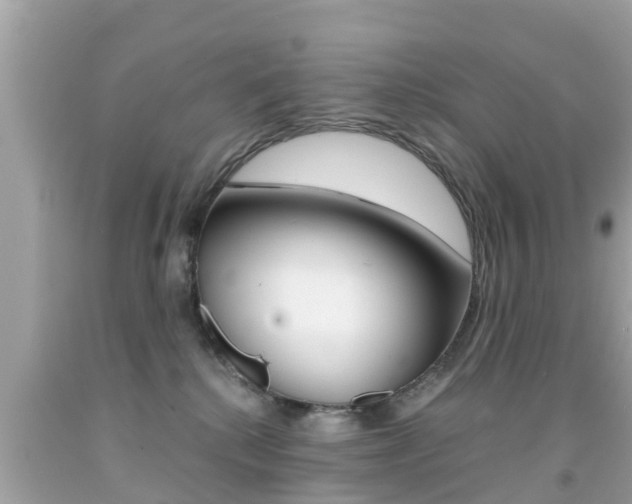 X0000091860280200709051003
