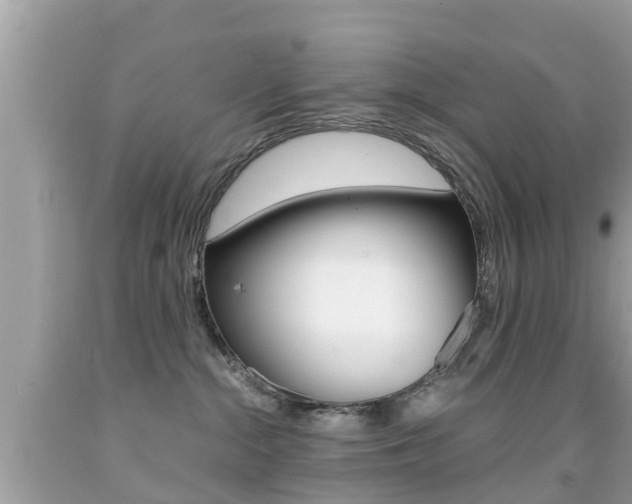 X0000091860284200709051003