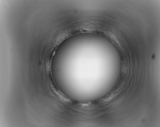 X0000091860285200709051003