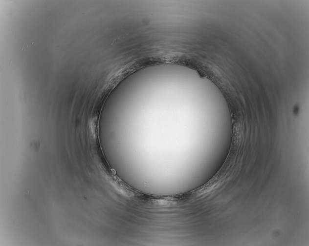 X0000091860286200709051003
