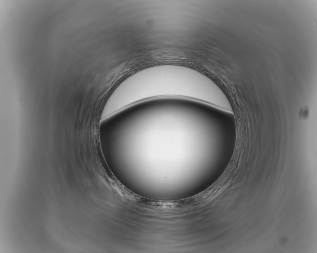X0000091860288200709051003