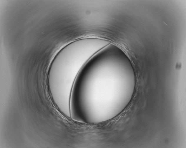X0000091860289200709051003