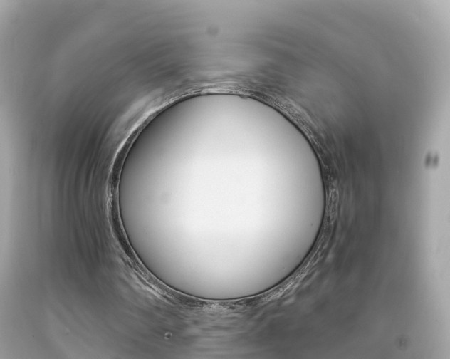 X0000091860290200709051003