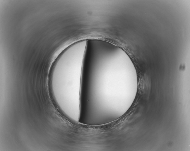 X0000091860292200709051003