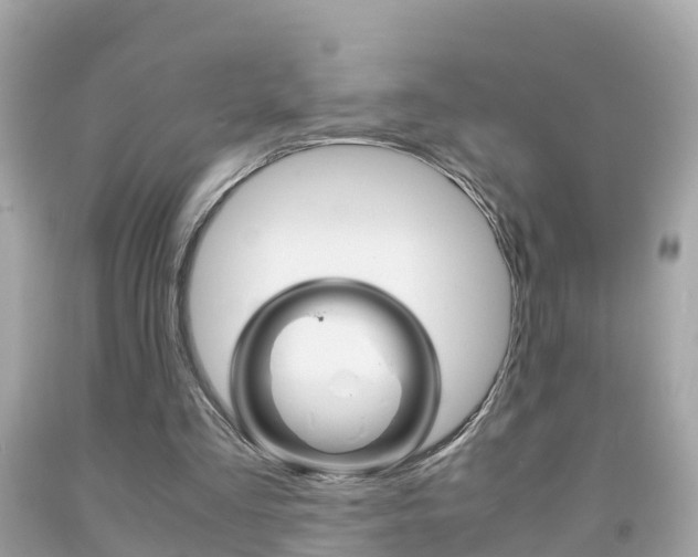 X0000091860293200709051003