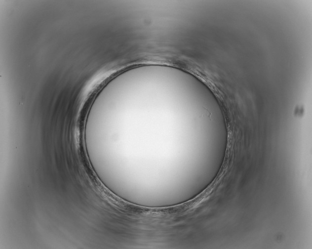 X0000091860294200709051003