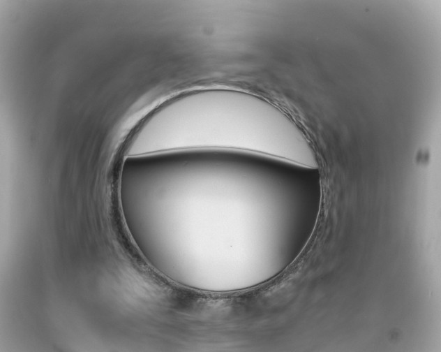 X0000091860295200709051003
