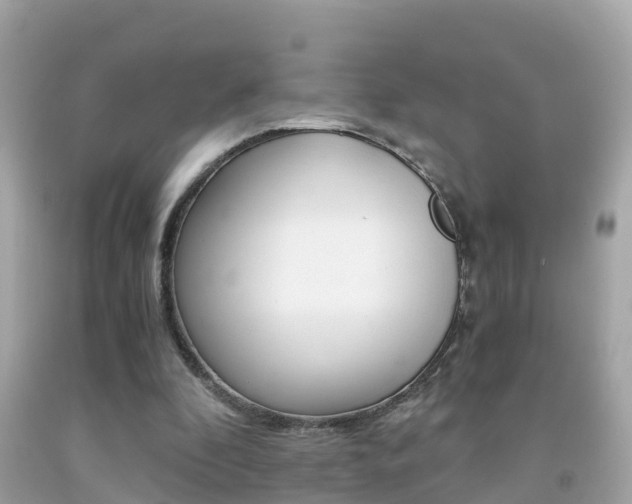 X0000091860296200709051003