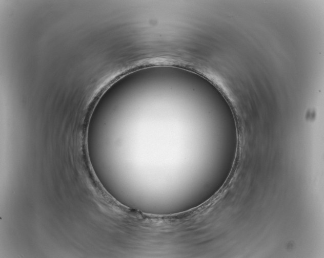 X0000091860297200709051003