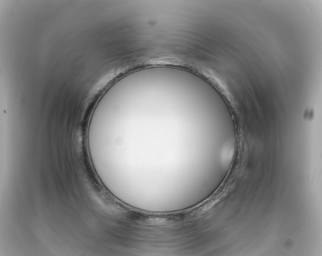 X0000091860298200709051003