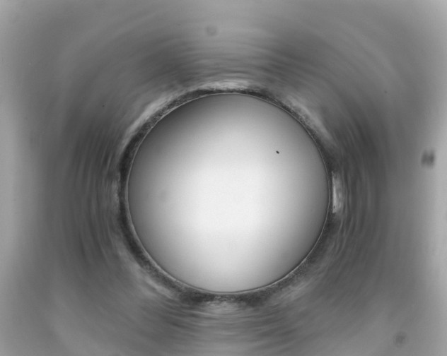 X0000091860300200709051003
