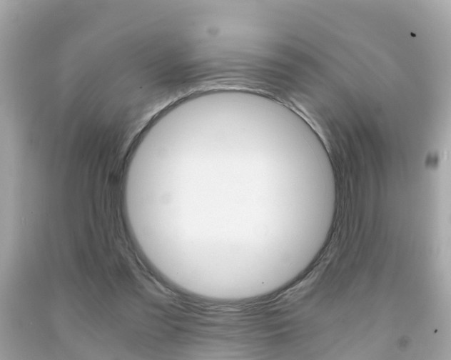 X0000091860301200709051003