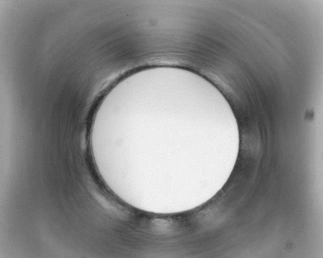 X0000091860302200709051002