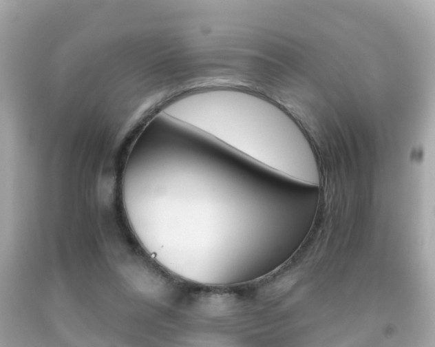 X0000091860304200709051002
