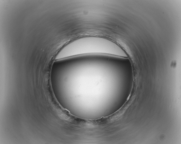 X0000091860305200709051002