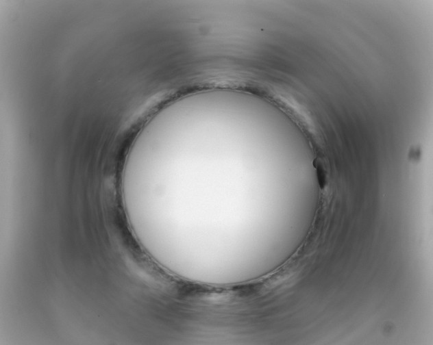X0000091860306200709051002
