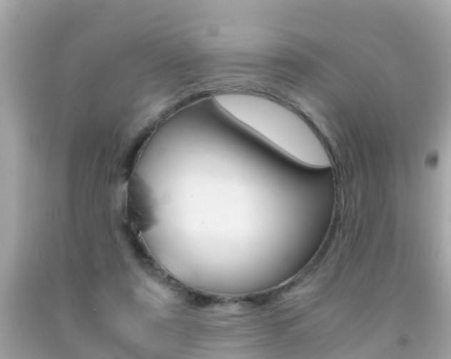 X0000091860307200709051002