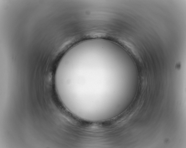 X0000091860308200709051002