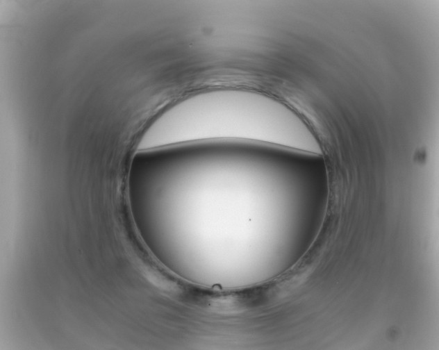 X0000091860309200709051002