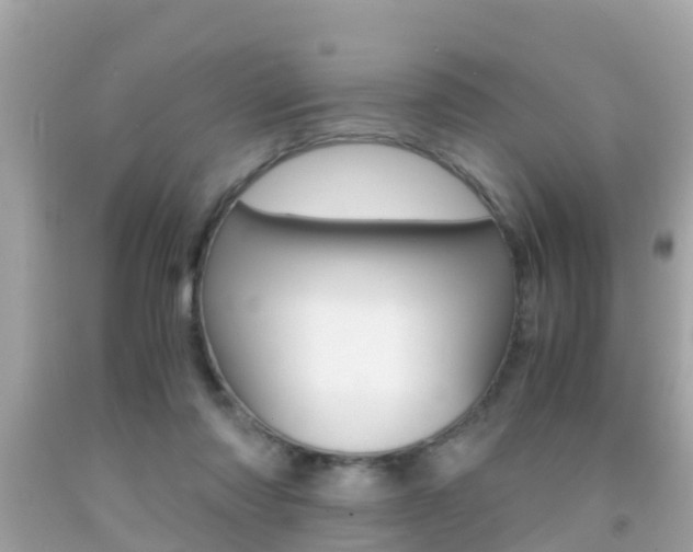 X0000091860310200709051002