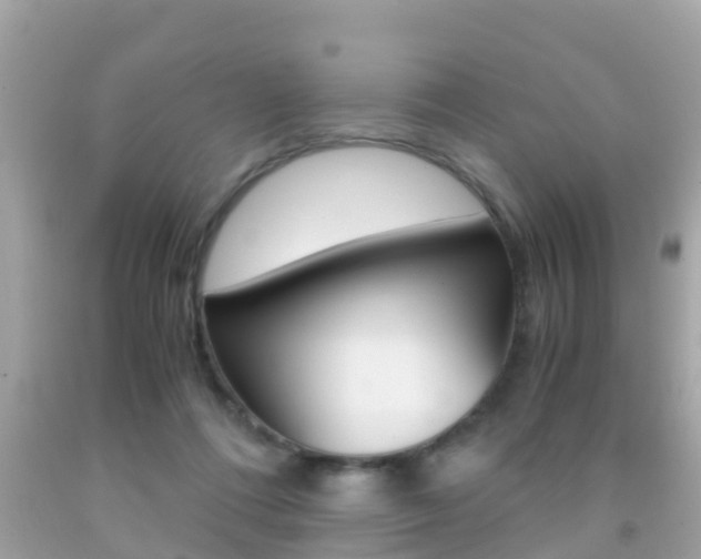 X0000091860312200709051002
