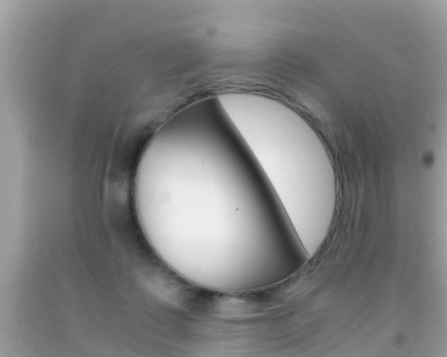 X0000091860315200709051002
